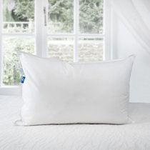 Wayfair shop down pillows